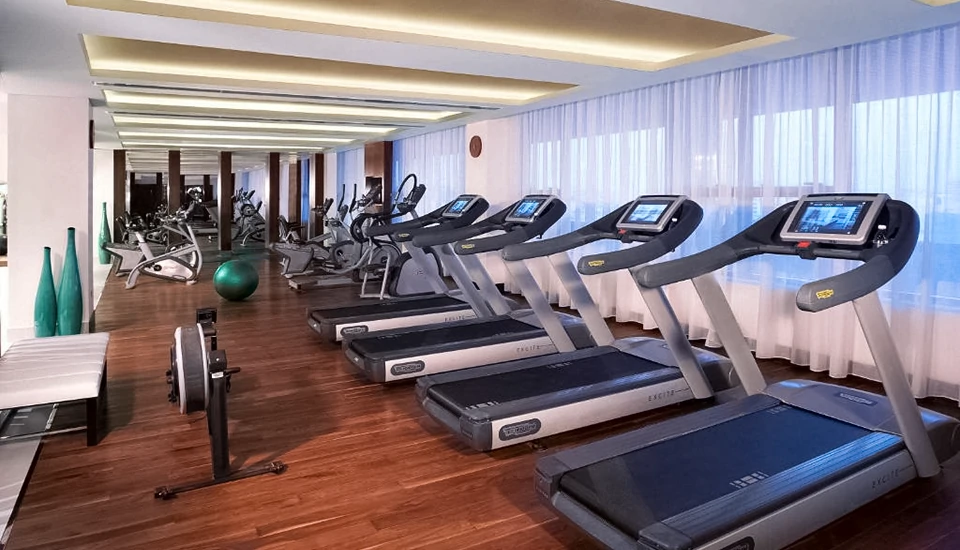 هتل پولمن کریک سیتی سنتر دبی